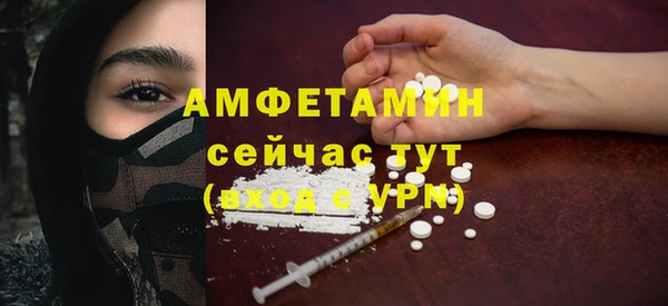 стаф Шадринск