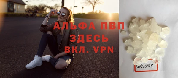 apvp Инсар