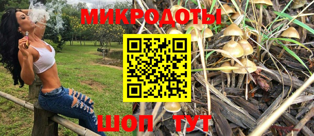 Галлюциногенные грибы прущие грибы  Астрахань 