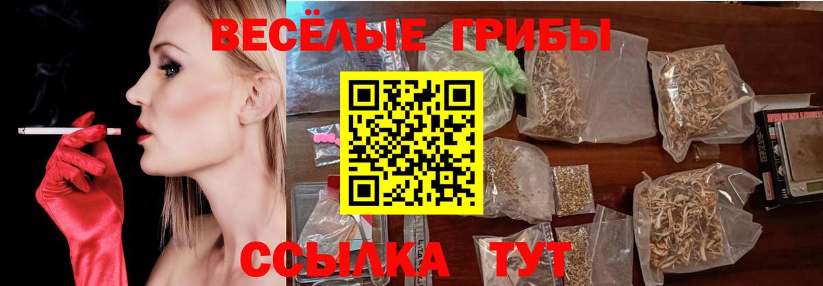 Галлюциногенные грибы Psilocybe  Вход с VPN  Астрахань 